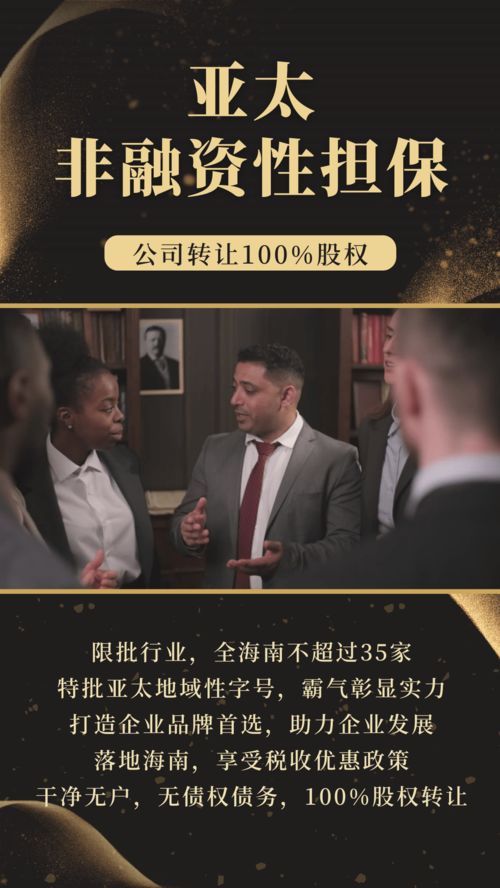 霸氣字號布局海南板塊 亞太非融資性擔(dān)保公司在海南的戰(zhàn)略發(fā)展