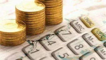 金融的耐心 融資性擔(dān)保行業(yè)的價值與韌性