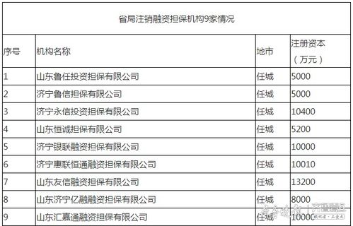 濟(jì)寧9家融資擔(dān)保機(jī)構(gòu)退出市場，行業(yè)規(guī)范再升級