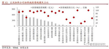 6號文紓民企出新招，堵城投斬?fù)?dān)?！谫Y性擔(dān)保機(jī)構(gòu)角色再思考